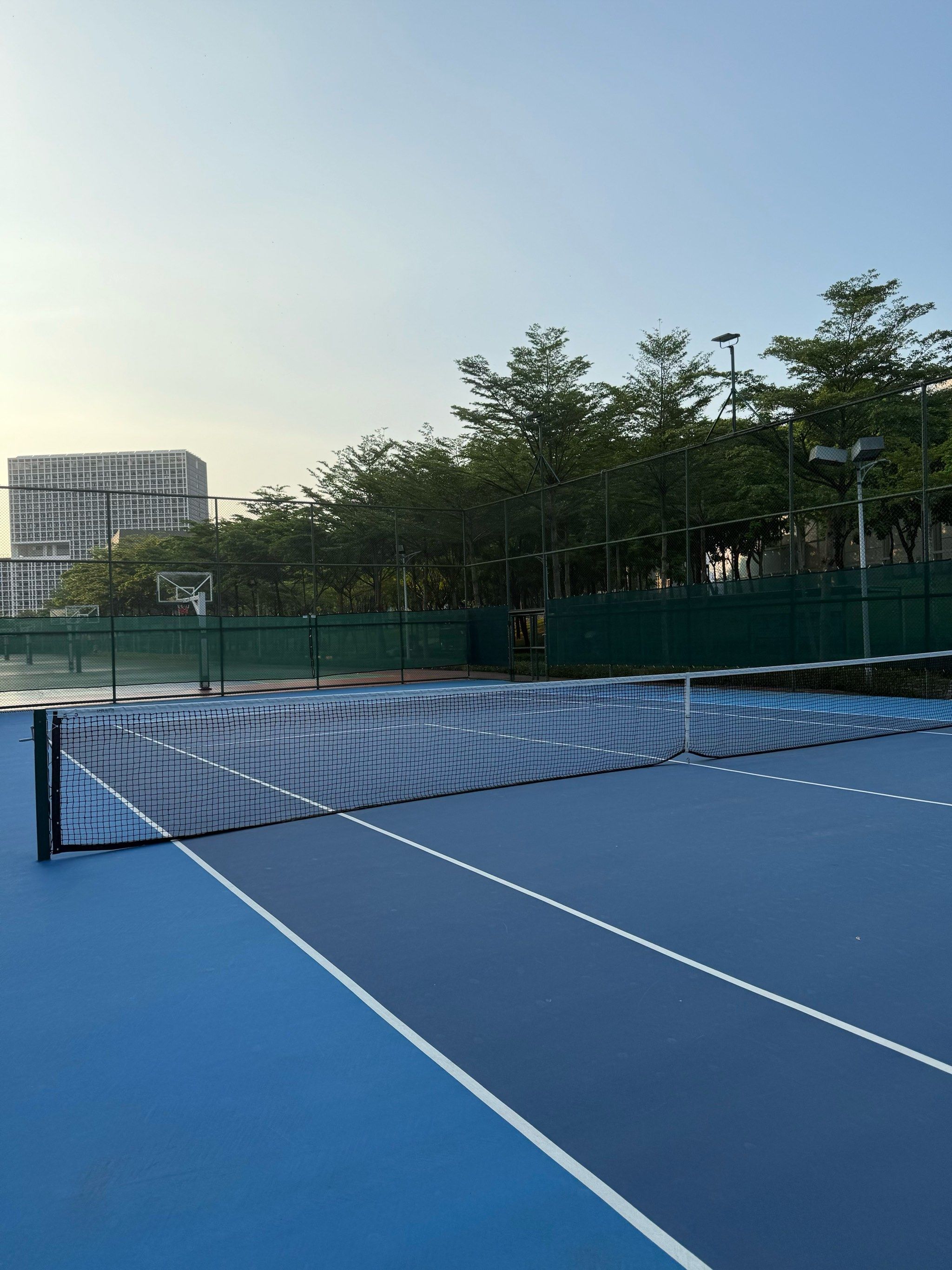 仅展现了地 仅展现了地