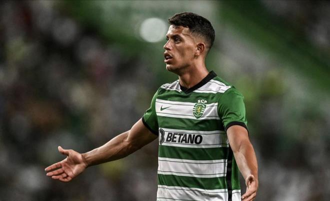 王治郅的成 王治郅的成