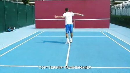 近年来类似 近年来类似